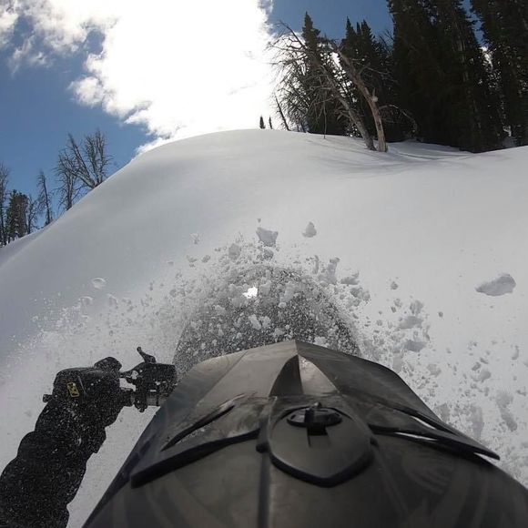 Meet your Posher, Jason - Picture 1 of 1